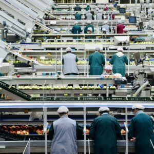 Read more about the article How Do I Make My Oshawa Company More Productive?